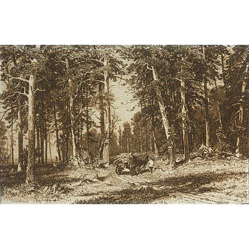 Офорт И.И.Шишкина «Окраина сосновой рощи» 1876