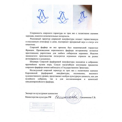 Экспертное заключение МК РФ Свешниковой Г.В