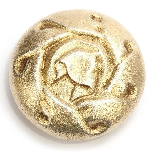 Квасник серебряный. Губкин.