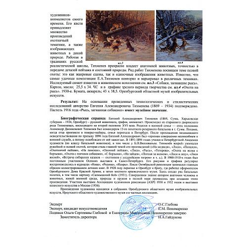 Экспертиза НИНЭ имени П. Третьякова