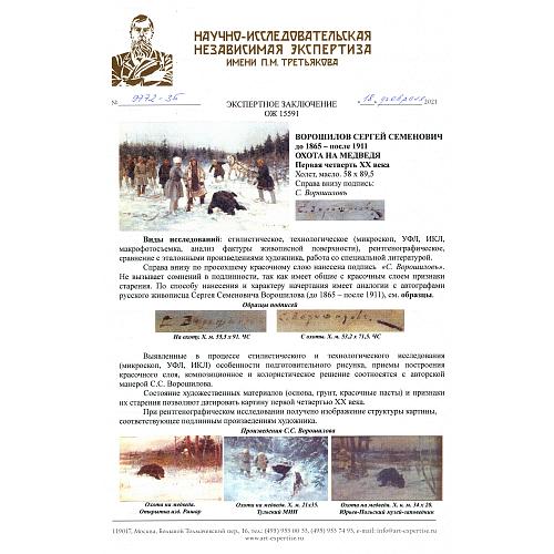 Экспертиза НИНЭ имени П. Третьякова