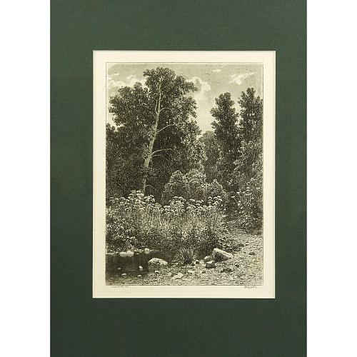Офорт И.И.Шишкина «Опушка» 1885