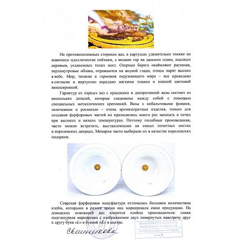 Экспертное заключение МК РФ Свешниковой Г.В