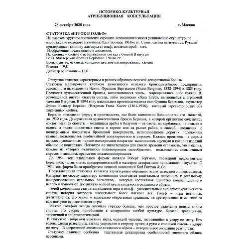 Экспертное заключение