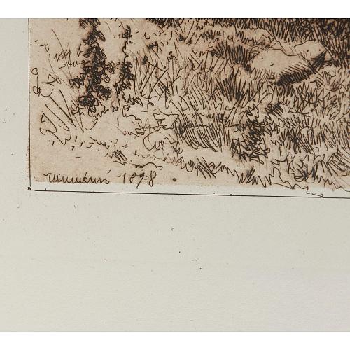 Офорт И.И.Шишкина «Обрыв» 1878
