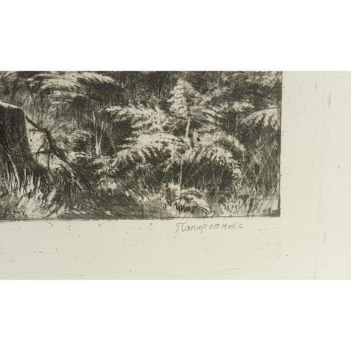 Офорт И.И.Шишкина «Папоротник» 1886