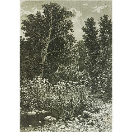 Офорт И.И.Шишкина «Опушка» 1885
