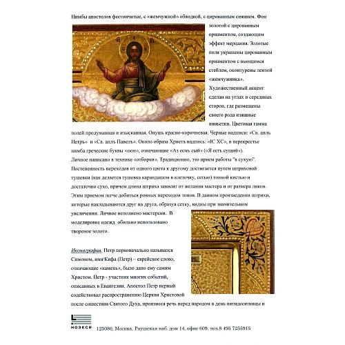 Экспертное заключение НОЭКСИ.