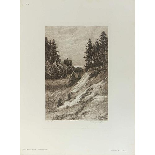 Офорт И.И.Шишкина «В Сестрорецке» 1886