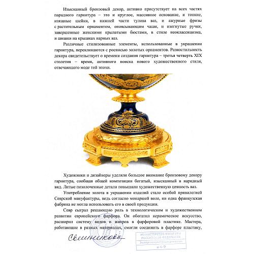 Экспертное заключение МК РФ Свешниковой Г.В