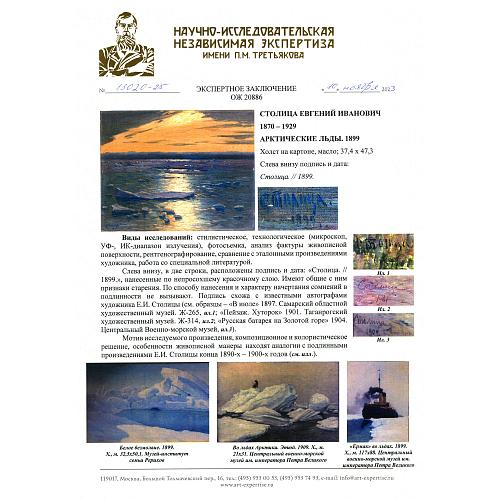 Экспертное заключение НИНЭ им. П.М.Третьякова