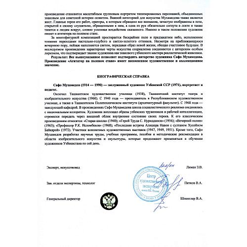 Экспертное заключение