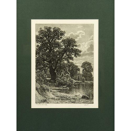Офорт И.И.Шишкина «Дуб» 1886