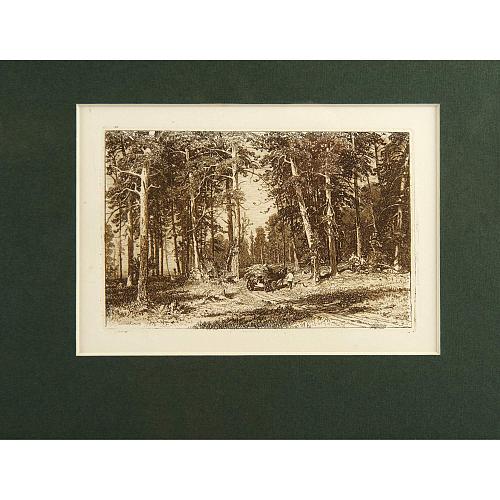 Офорт И.И.Шишкина «Окраина сосновой рощи» 1876