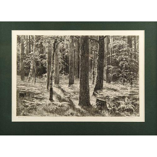 Офорт И.И.Шишкина «Папоротник» 1886