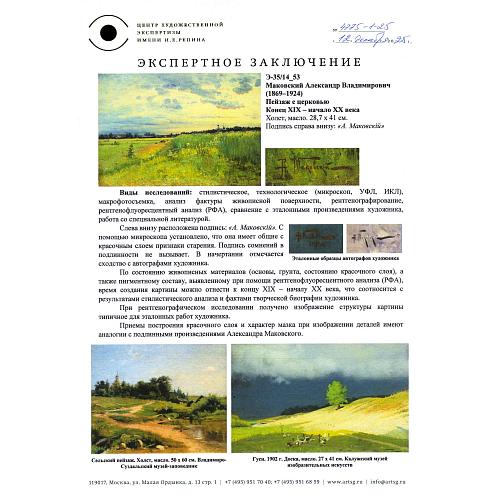 Экспертное заключение