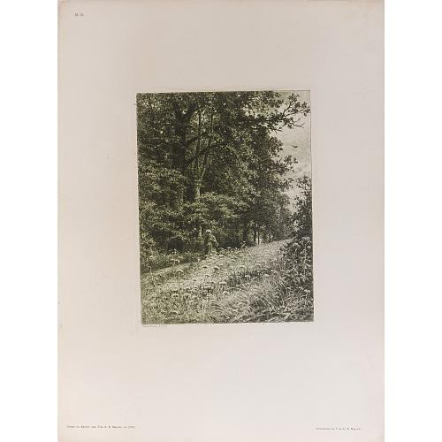 Офорт И.И.Шишкина «На лесной меже» 1878