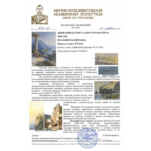 Экспертное заключение НИНЭ им. П.М.Третьякова