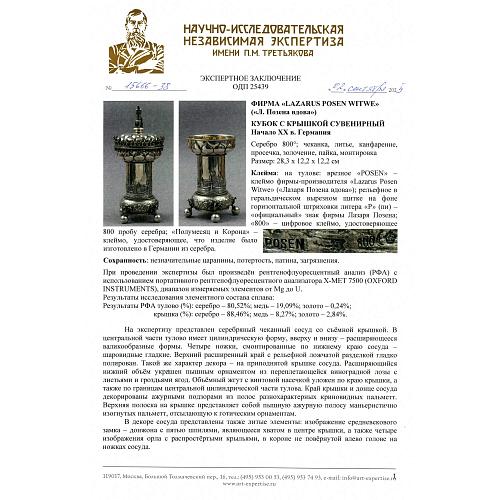 Экспертное заключение НИНЭ им. П. М. Третьякова.