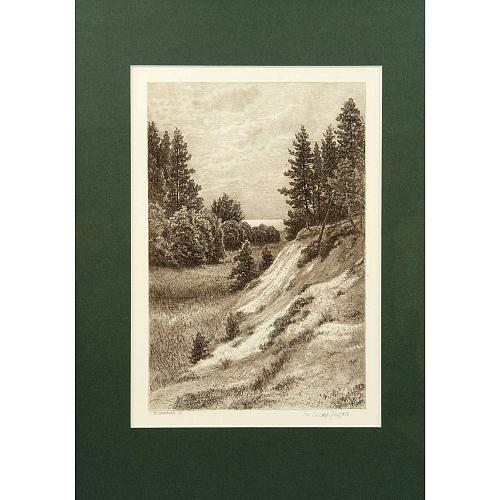 Офорт И.И.Шишкина «В Сестрорецке» 1886