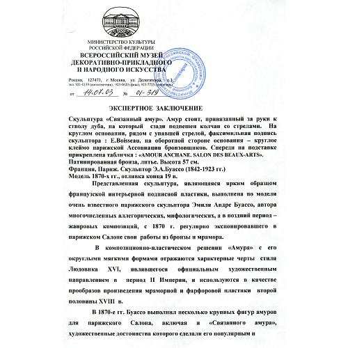 Экспертное заключение