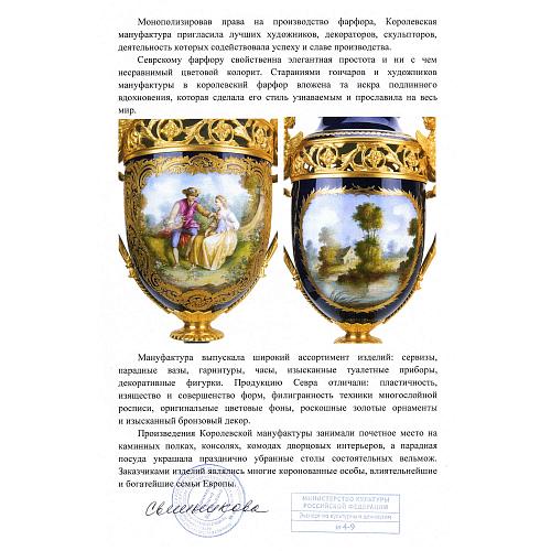 Экспертное заключение МК РФ Свешниковой Г.В