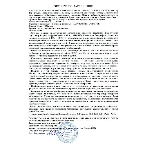 Экспертное заключение ГИМ.