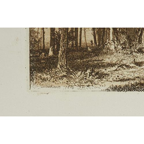 Офорт И.И.Шишкина «Окраина сосновой рощи» 1876