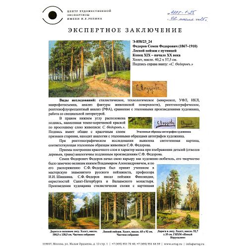 Экспертное заключение