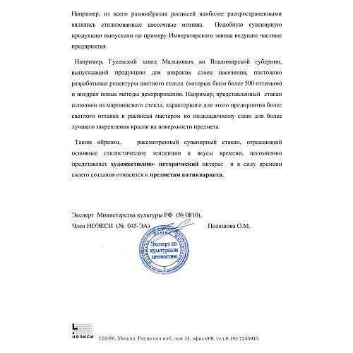 Экспертное заключение НОЭКСИ