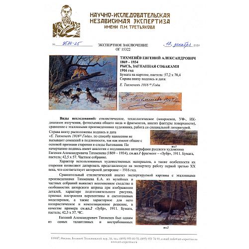 Экспертиза НИНЭ имени П. Третьякова