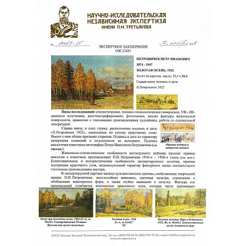 Экспертное заключение НИНЭ им. П. М. Третьякова.
